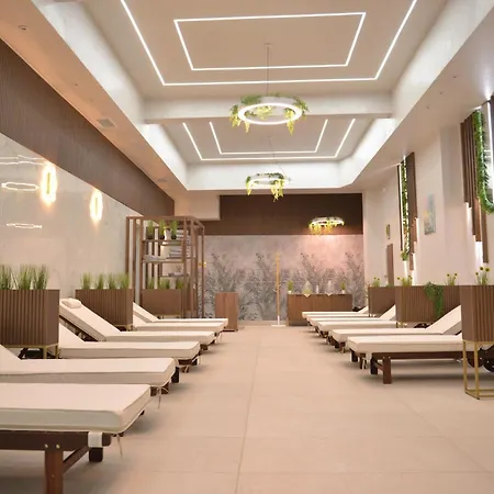 Hotel ивелия и - Ivelia &